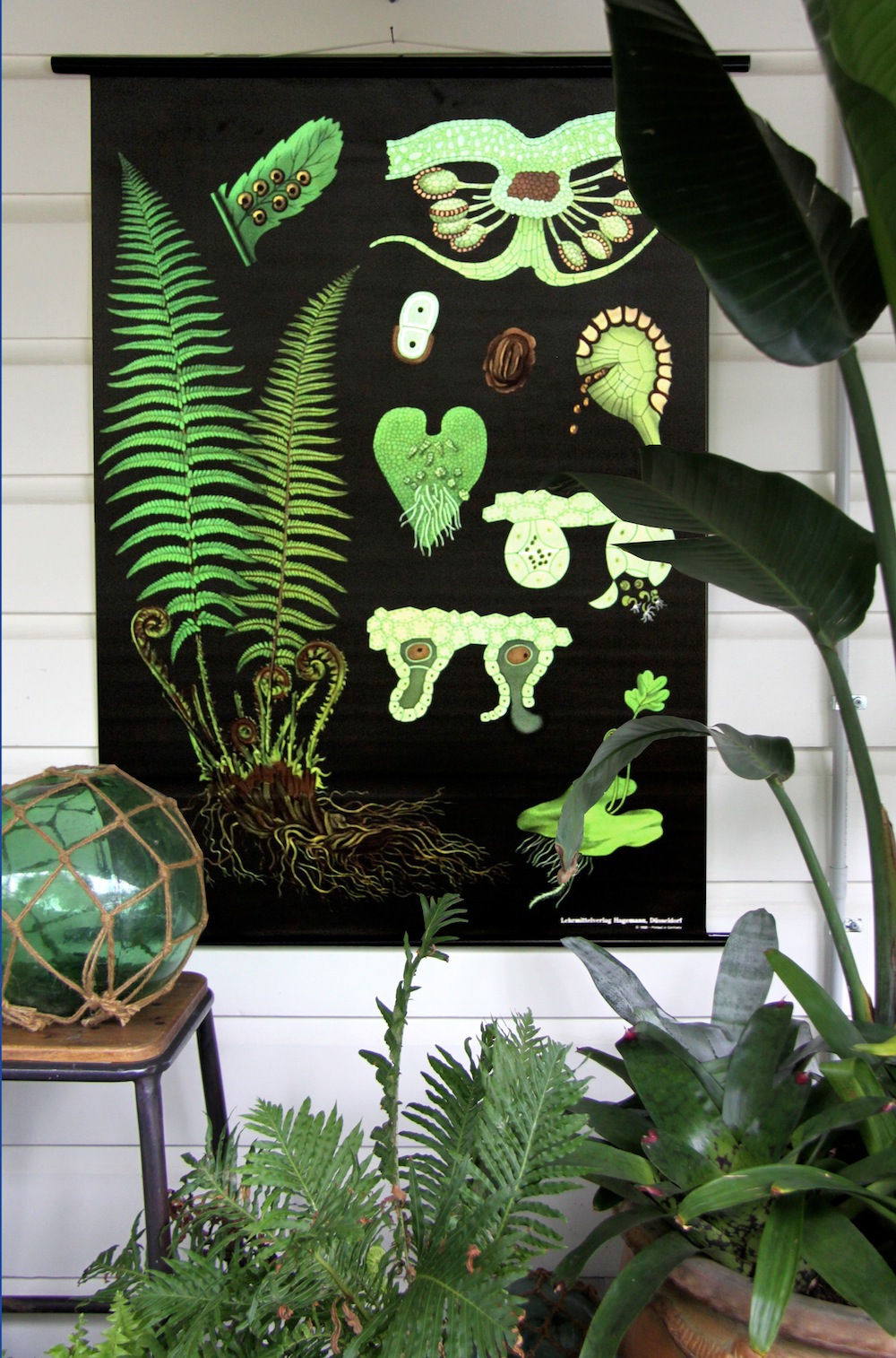 Botanical Charts